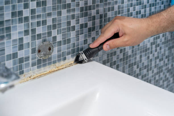 Reliable Richmond Heights, OH Mold Remediation Solutions