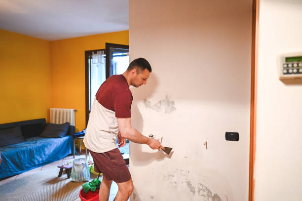 Best Residential Mold Remediation in Richmond Heights, OH